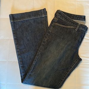 Banana Republic Women’s Stretch Denim Jeans